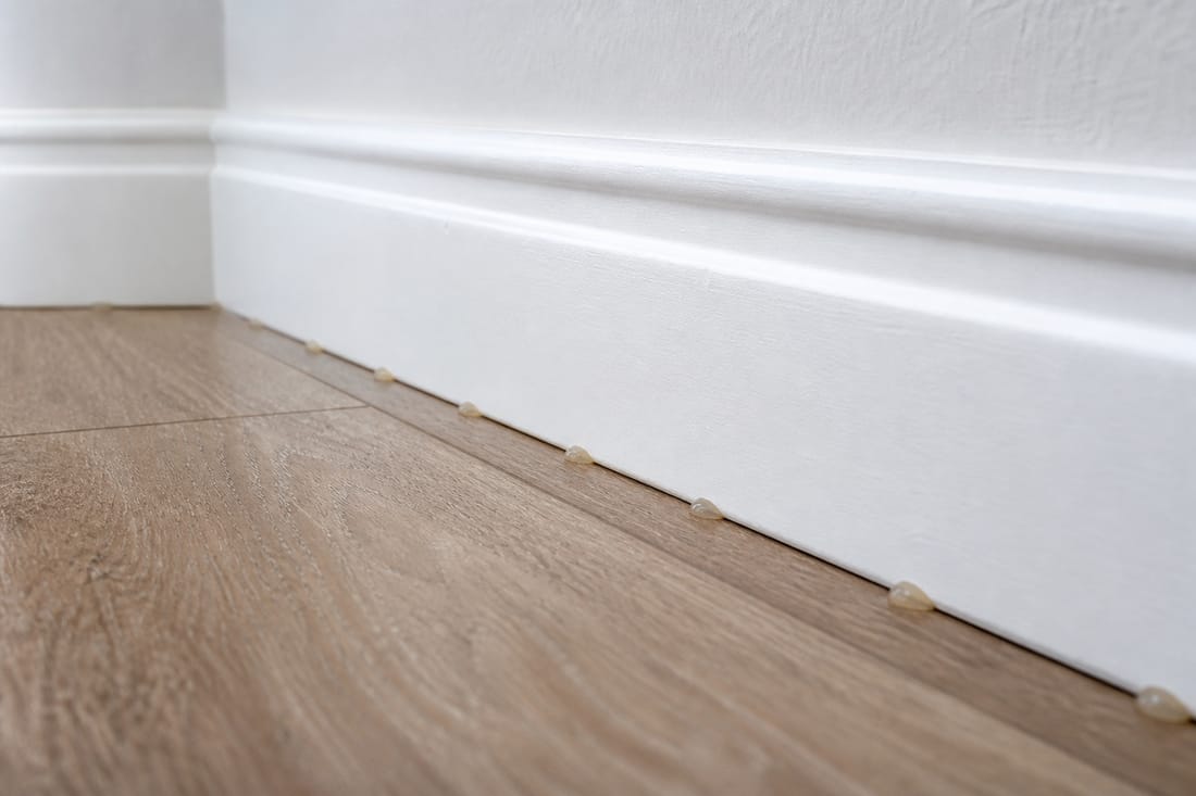 Exemple : gel d'appât antiparasitaire le long d'une plinthe