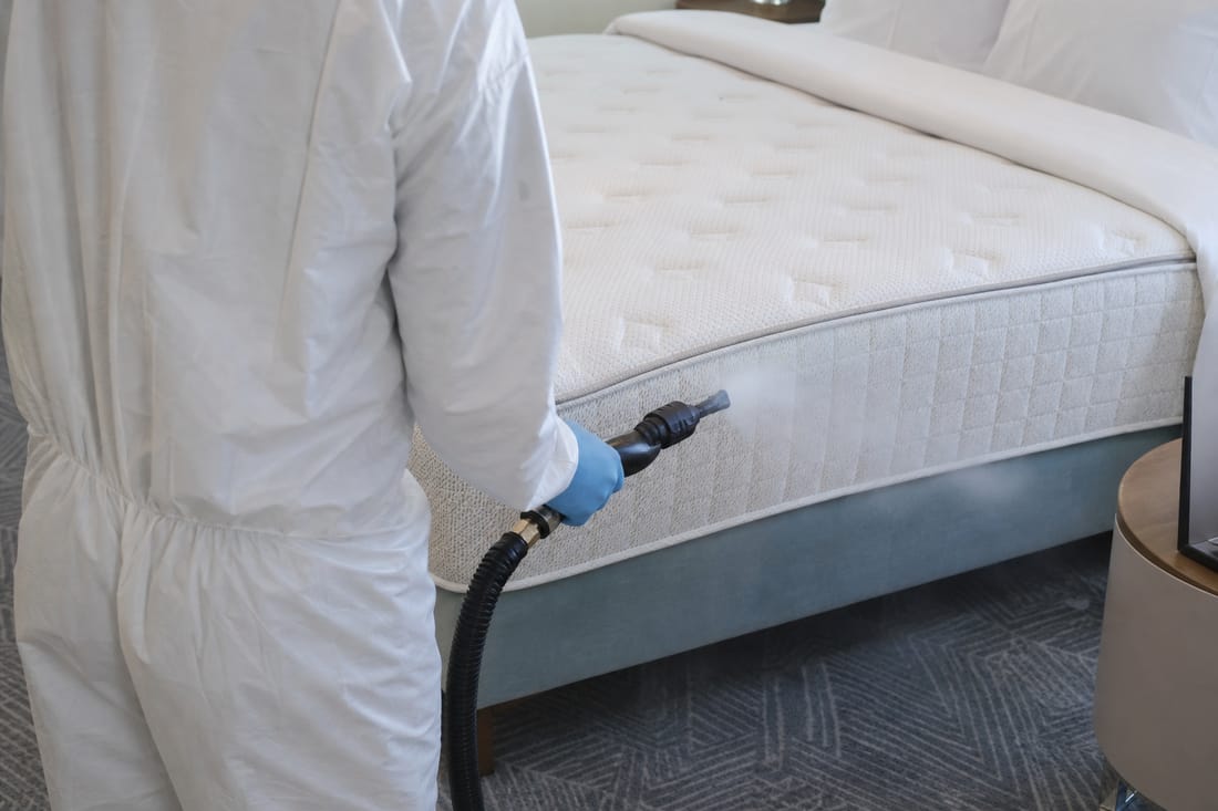 Exemple : technicien traitant un matelas à la vapeur, vu de dos