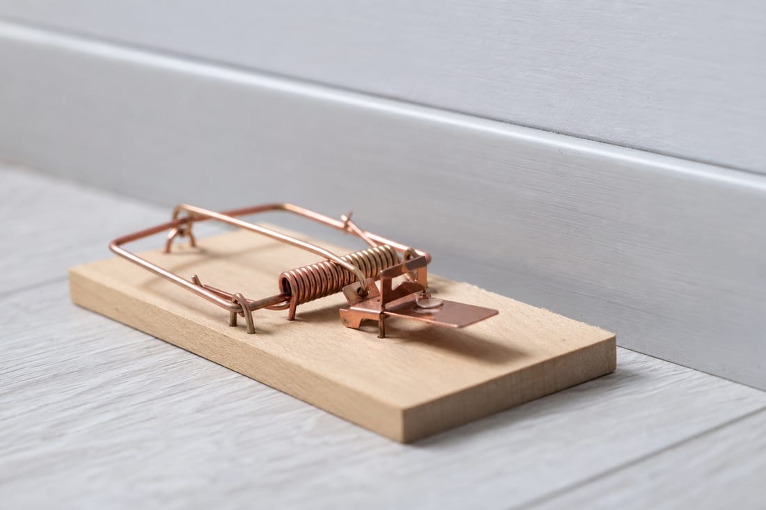 Exemple : piège mécanique professionnel pour souris